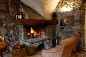 Ski Peak - Chalet Rostaing - Incredible vaulted ceiling dining room and breathtaking garden