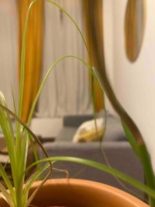 Berlin Base Apartments