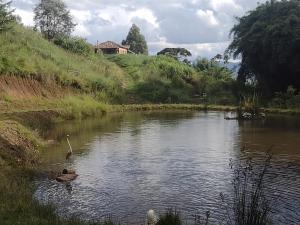 Fechada para hospedes