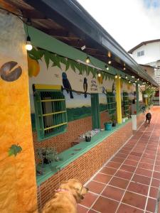 Hotel Campestre, El Balcón