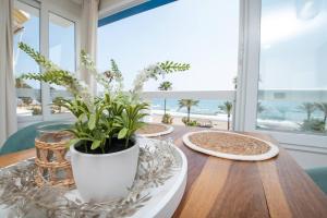 arrecife del mediterráneo