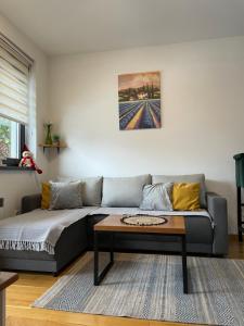 Zlatni Bor Apartment