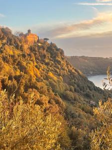 La Fontanella - Piccolo Appartamento nel Centro Storico di Nemi