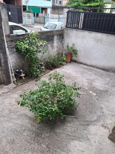 Casa em bc para temporada