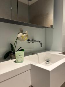 Amazing top floor 2 bed flat with massive terrace