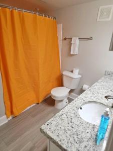 King 1 Bed 1 Bath Walk to NRG near Medical Center