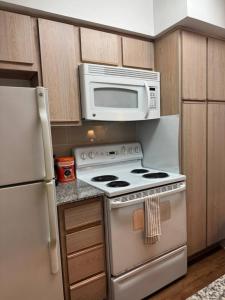 Bluebeam 1 Bed near Medical Center and NRG with Pool