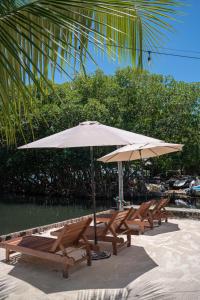 Bellas Backpackers Hostel