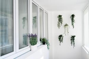 Ultracentral Cişmigiu Park