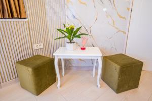 Iancu Jianu Premium Stay Apartment