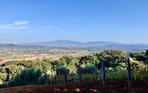 Wonderful New Villa in Maremma near Montalcino