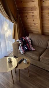 Vila Caričić Žabljak