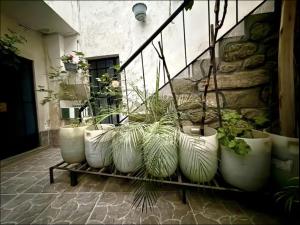 Casa Posada Doña Miriam Caraz Perú