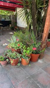 Apart Hosteria Plaza-La Cumbre