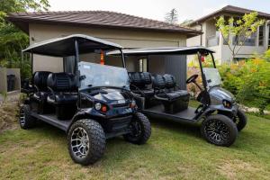 Luxury 5BR Villa with Pool Jacuzzi 2 Golf Carts