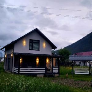 gray house kryvorivnya