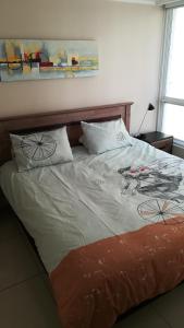 Nice downtown apartment with 1 bedroom