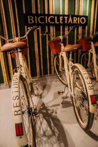 Restinga – Seu Refúgio à Beira-Mar