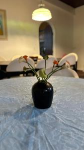 Pousada Elite Residence - Itanhaém