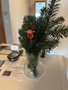 Appartment Weitblick