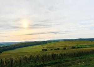 Maison Palomase en plein cœur de Sancerre