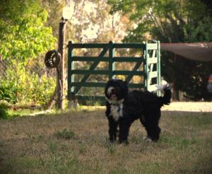 Cabañas Ruka Leufú