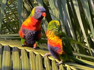 Palm Beach Bed & Breakfast