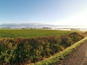 7 person holiday home in Rødby-By Traum