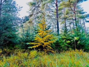 8 person holiday home in Fjerritslev-By Traum