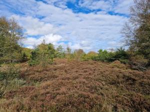 8 person holiday home in Hadsund-By Traum