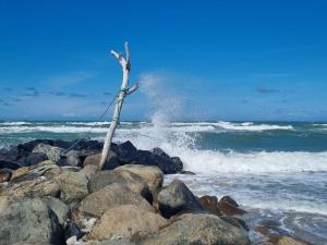8 person holiday home in Skagen-By Traum