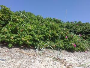 Secluded Haven in Kelstrup - By Traum Ferienwohnungen