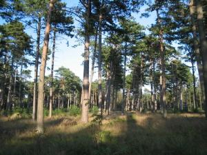 Luxury Retreat near Beach - By Traum Ferienwohnungen