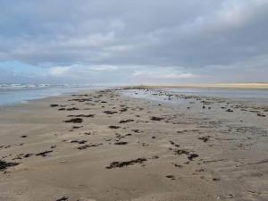4 person holiday home in Fanø