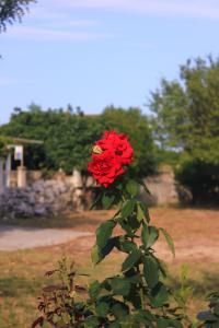 Studio Orebic 10256b