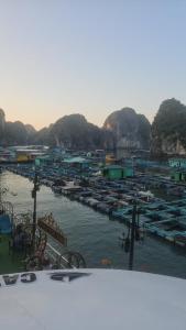 Cat Ba Nam Phong Hotel