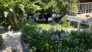 Casa Pisuri - Hermosa paz y experiencia única muy cerca del mar!