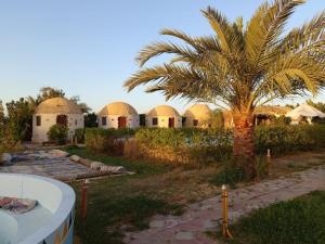 Hotel Dakrour-فندق الدكرور