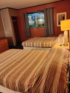 Gated - 2 Double Bed Studio with Full Kitchen 114