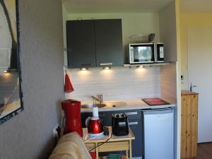 Appartement proche Thermes avec WiFi et animaux admis - FR-1-541-189