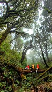 Homestay Quyền Linh-Tour Tây Côn Lĩnh