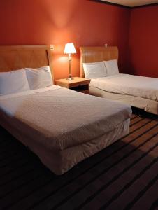 Gated 2 Double Bed Studio with Full Kitchen 118