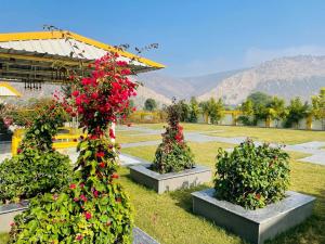 Anupam Sariska Resort