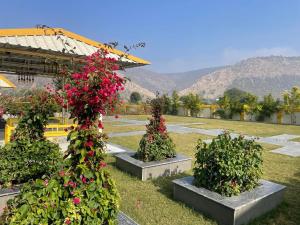 Anupam Sariska Resort