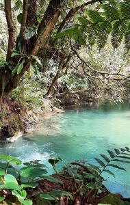 Modern Villa Exclusive Tropical Nature Retreat Rio Celeste 6 to 8 Guests