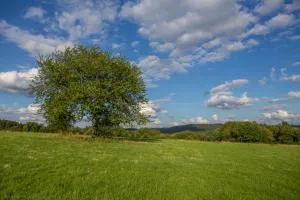 B&B Chez tante Alice - Heyd