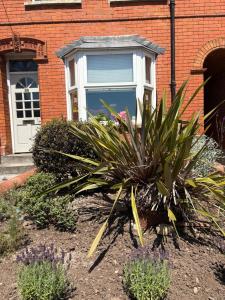 Charming cottage in Wells with easy parking