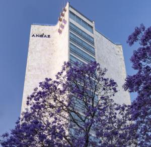 Andaz Condesa Mexico City, By Hyatt