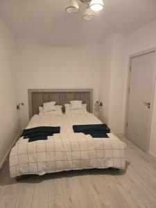 Apartament Central