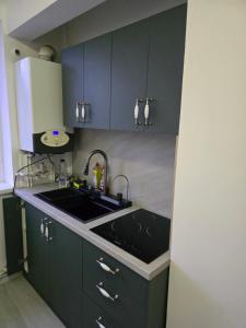 Apartament Central